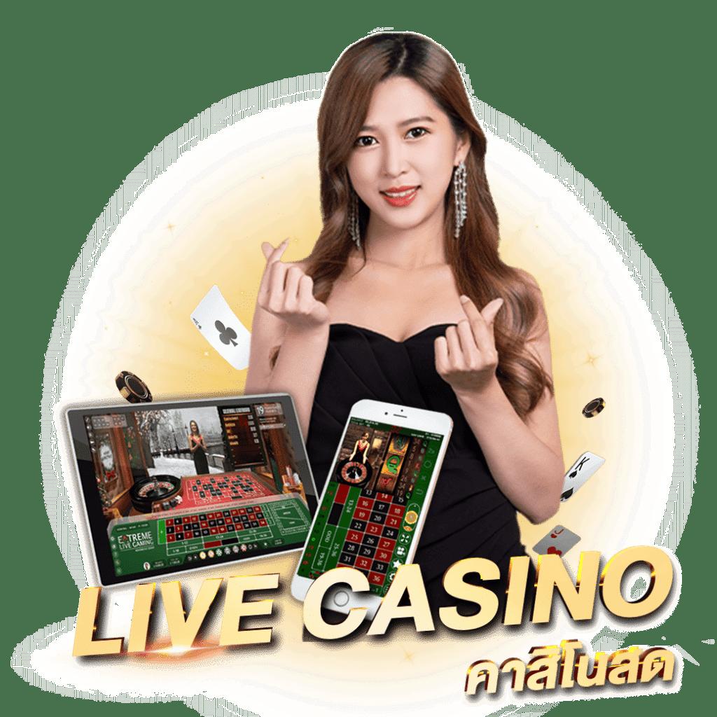 คาสิโนออนไลน์ Cat8888 หวย VIP สมัครง่าย โบนัสสูงสุด 2025